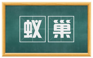 蚁巢