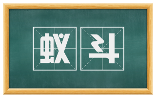 蚁斗