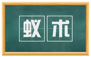 蚁术