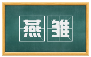 燕雏