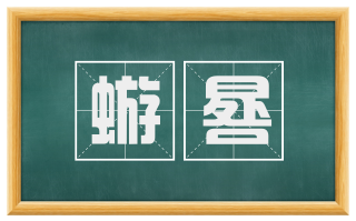 蝣晷