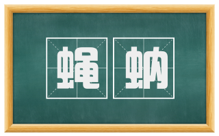 蝇蚋