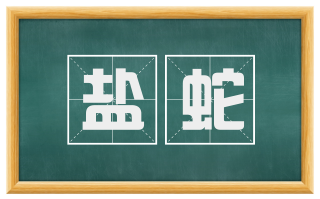 盐蛇