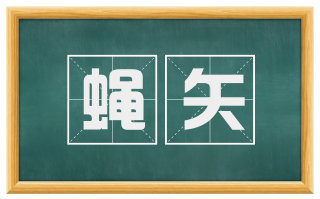 蝇矢