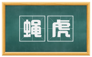 蝇虎