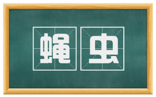 蝇虫