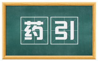 药引
