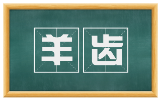 羊齿