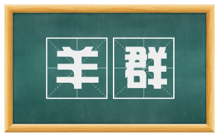 羊群