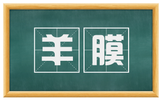 羊膜