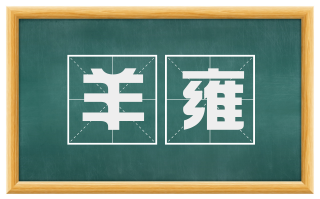 羊雍