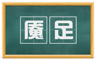 魇足