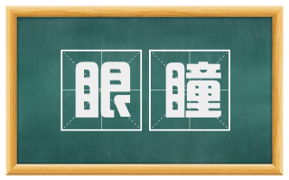 眼瞳