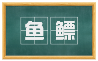鱼鳔