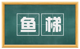 鱼梯
