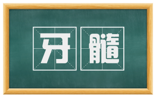 牙髓