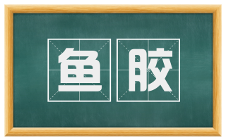 鱼胶