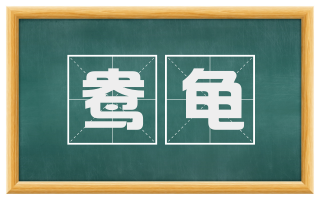 鸯龟