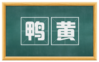 鸭黄