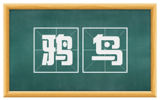鸦鸟