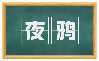 夜鸦