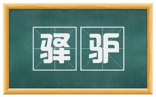 驿驴