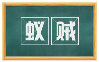 蚁贼