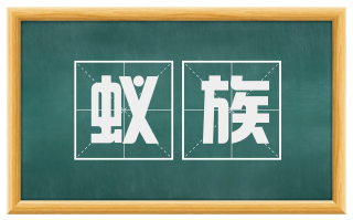 蚁族