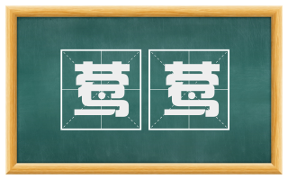 莺莺