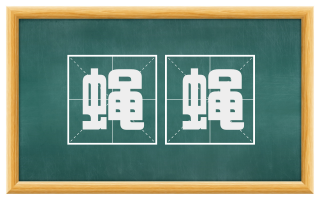 蝇蝇