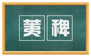 荑稗