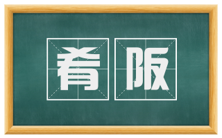 肴阪