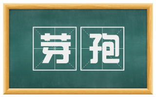芽孢
