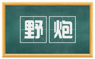 野炮