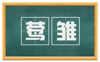 莺雏