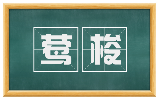 莺梭