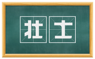 壮士