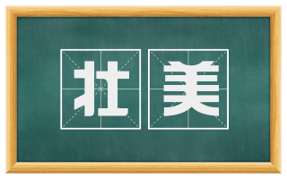 壮美