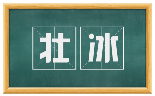 壮冰