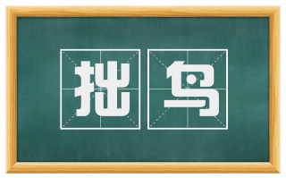 拙鸟