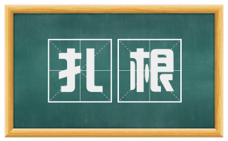 扎根