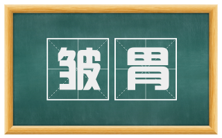 皱胃