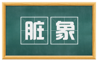 脏象