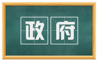 政府