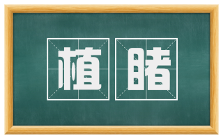 植睹