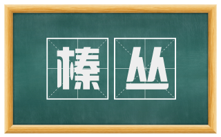 榛丛