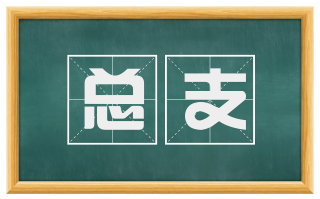总支