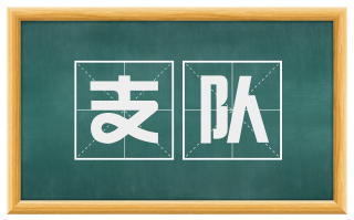 支队