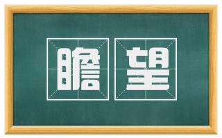 瞻望