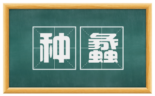 种蠡